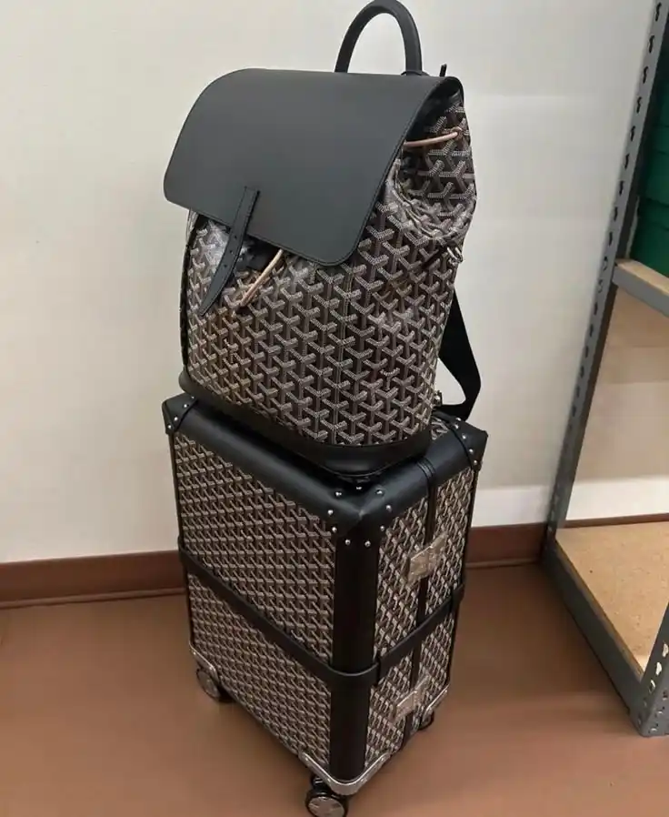 Goyard Duffle Bag — photo 6 of 7