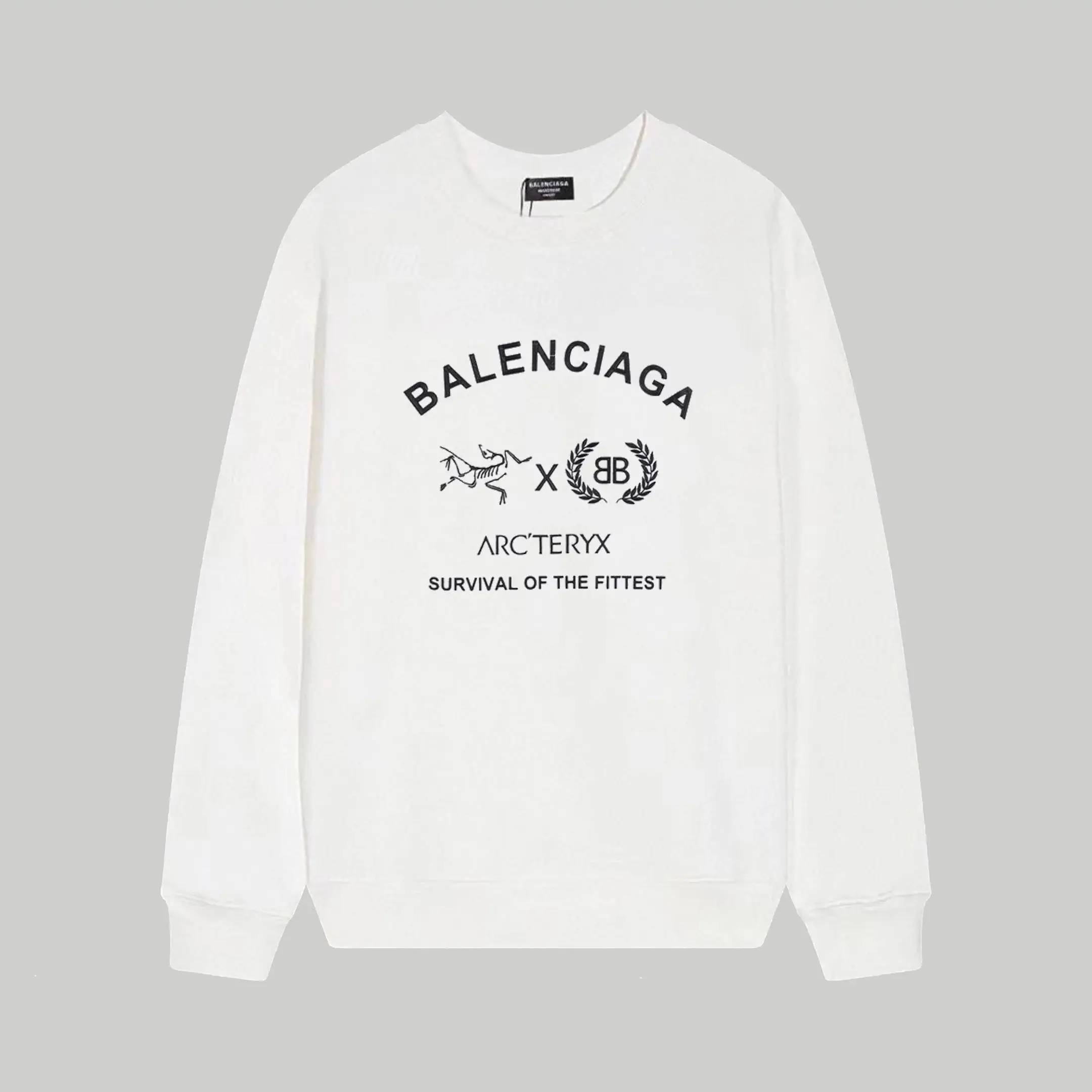 Balenciaga Hoodie — photo 6 of 14