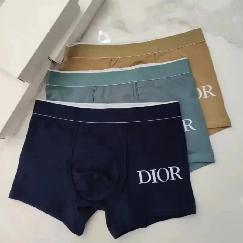 Dior Underwear — photo 11 of 14