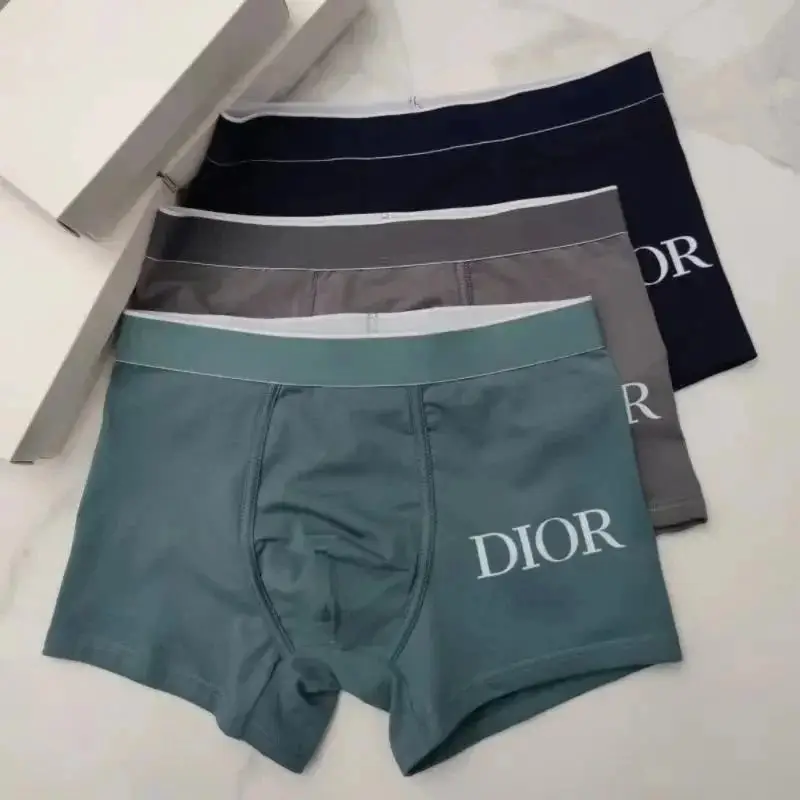 Dior Underwear — photo 12 of 14