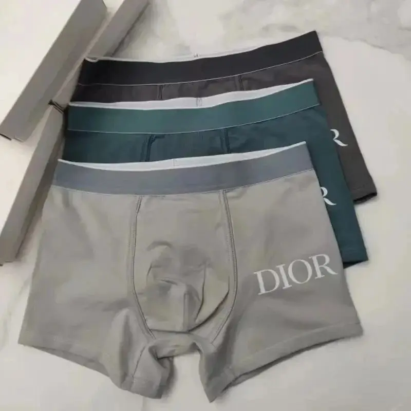 Dior Underwear — photo 13 of 14
