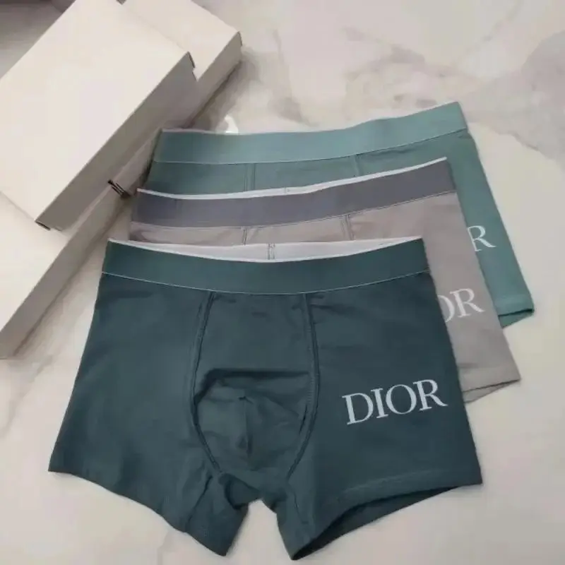 Dior Underwear — photo 8 of 14