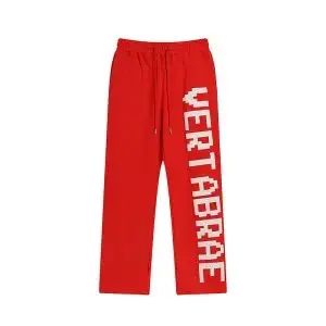 Vertabrate Sweatpants — photo 14 of 15